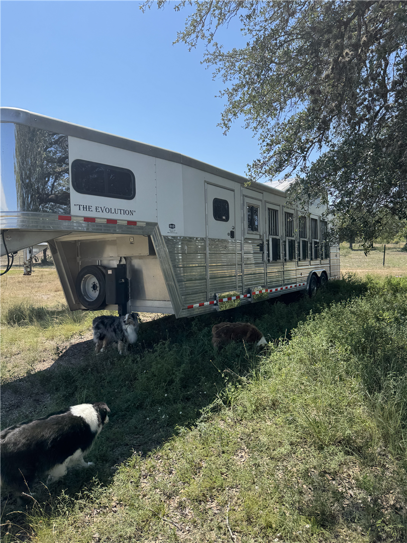 2017 Bloomer Horse Trailer for Sale in Spicewood, Texas