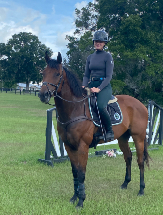 Thoroughbred Gelding for Sale in Ocala, Florida — 5 yrs, 16.2 hh